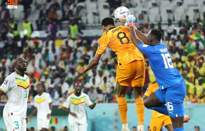 Қатар-2022: Голландлар Сенегалга қарши ўйиннинг охирида «калла»ни ишлатишди