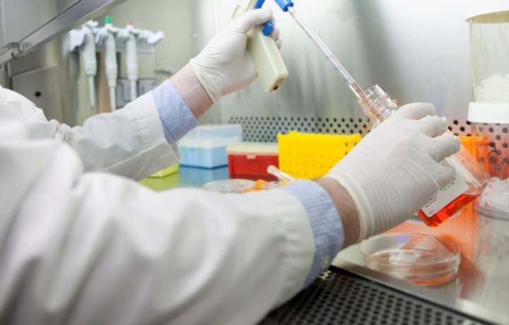 Oziq-ovqat mahsulotlariga sanitariya-epidemiologik xulosa berish tartibi belgilandi