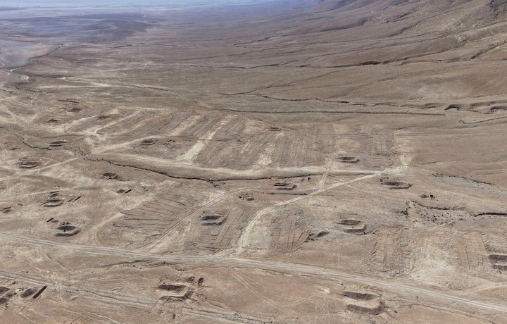 Асад ҳукуматининг яна бир машъум қилмиши фош бўлди