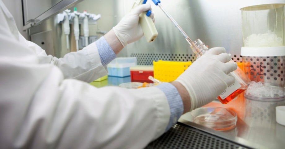 Oziq-ovqat mahsulotlariga sanitariya-epidemiologik xulosa berish tartibi belgilandi