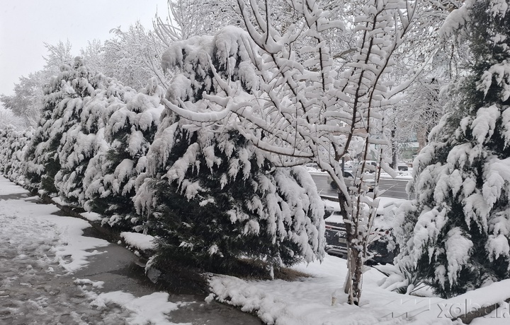Дожди и снег: на этой неделе в Узбекистане ожидается переменчивая погода