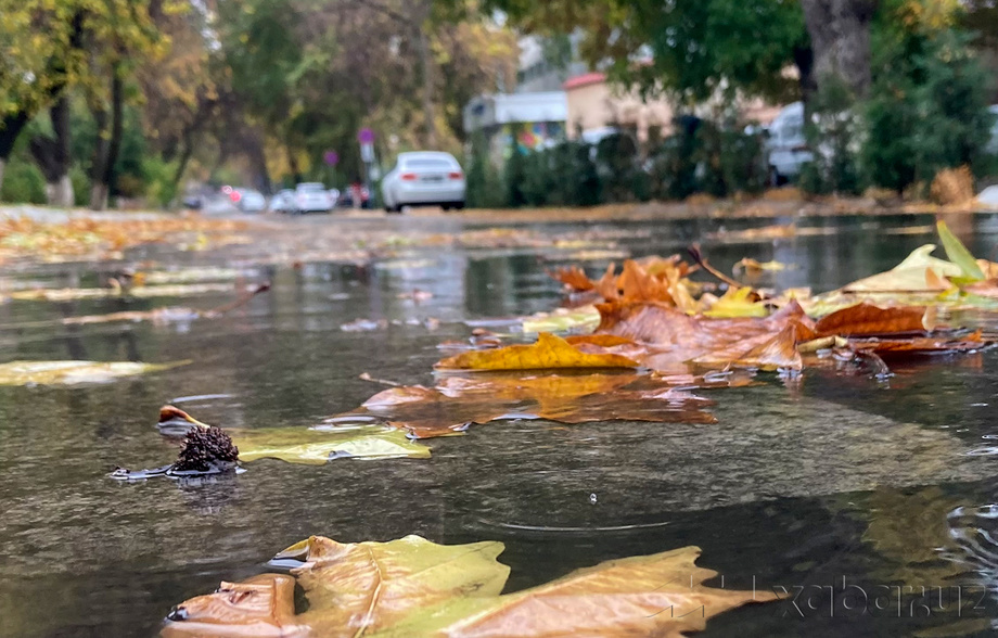 Сегодня температура воздуха понизится до 5 градусов тепла