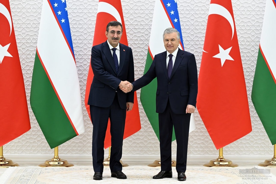 Шавкат Мирзиёев принял вице-президента Турции