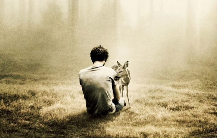 Gumon. Insoniylik. Tog‘a (mitti hikoyalar)