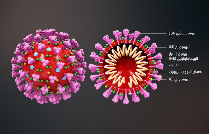 Bunaqasi bo‘lmagan! Islandiyada qo‘shaloq koronavirus aniqlandi