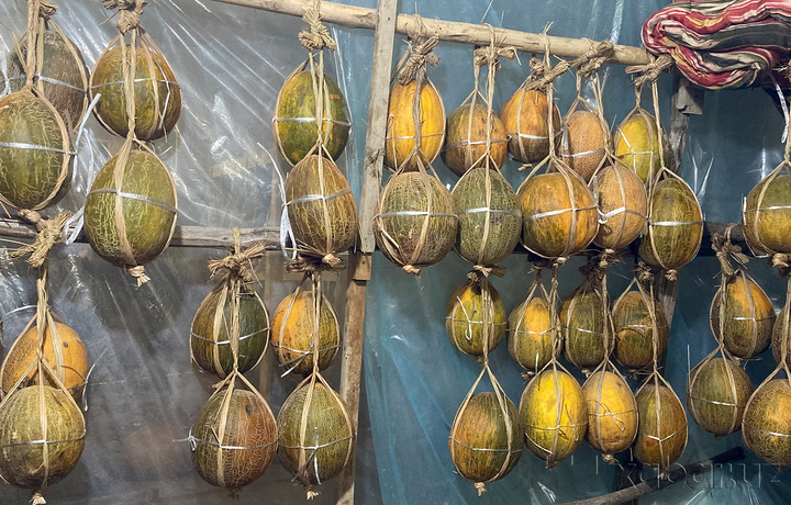 O‘zbekistonda poliz mahsulotlarini yetishtirish ko‘paydi