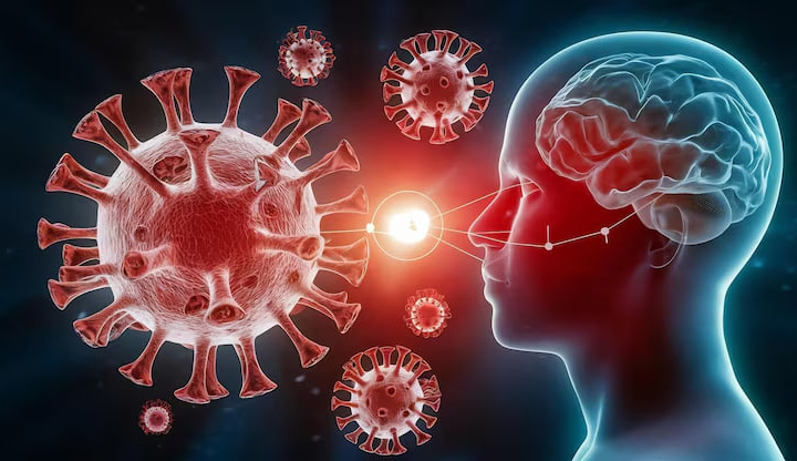 Олимлар COVID-19 дан кейин мияда қолган «узоқ муддатли из»ни аниқлашди