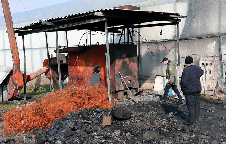 Issiqxonasida shina va mazut yoqayotganlarning qozonxonasi musodara qilinadi