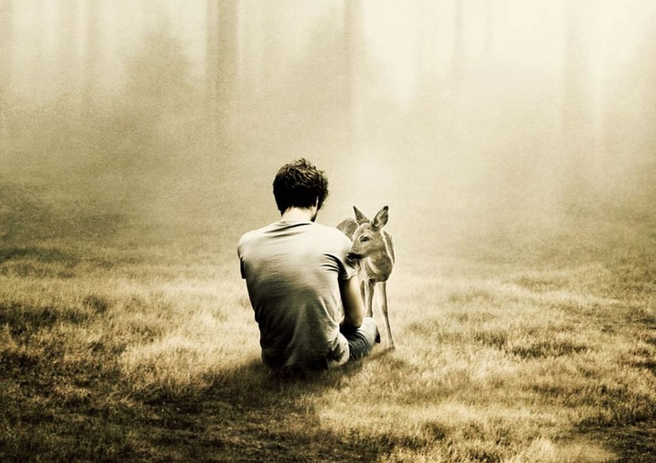 Гумон. Инсонийлик. Тоға (митти ҳикоялар)