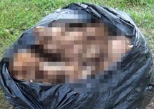 Жиззахда полиэтилен пакетда ўлик чақалоқлар топилди
