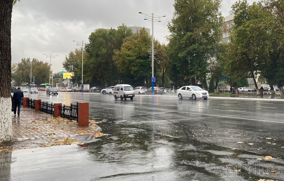 Сегодня температура воздуха по Узбекистану составит 8-10 градусов тепла