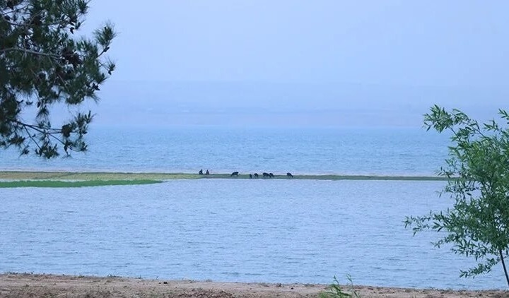 Sibir daryosi suvi Orol dengiziga yo‘naltirilishi mumkin