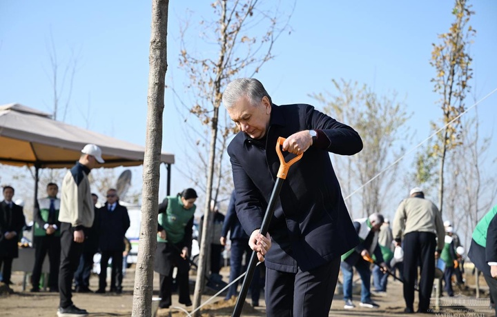 Shavkat Mirziyoyev «Yashil makon» umummilliy loyihasining yangi bog‘ida ko‘chat ekdi (foto)