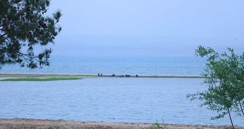 Sibir daryosi suvi Orol dengiziga yo‘naltirilishi mumkin
