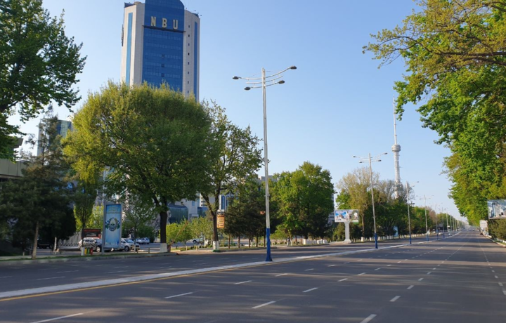 Poytaxt ko‘chalari «huvillab» qoldi (foto)