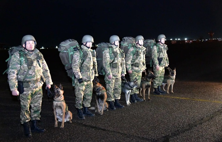 Zabonsiz yordamchilar: zilzila hududlarida itlar odamlarga ko‘mak bermoqda (foto)