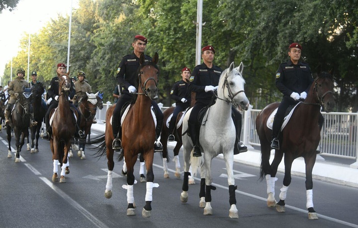 Toshkentda ilk bor 80ga yaqin otliq ishtirokida parad o‘tkazildi (foto)