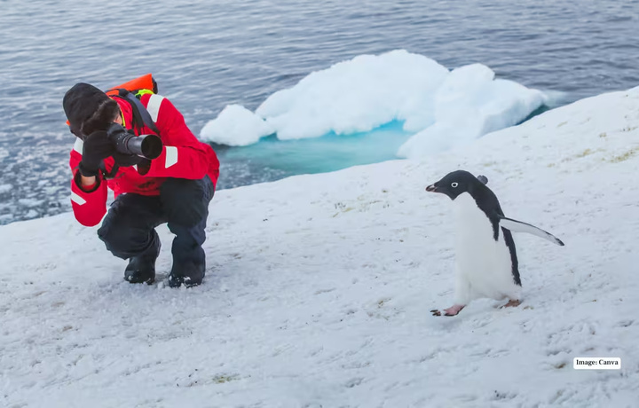 Sayohatga borishdan “saqlanish” kerak bo‘lgan mashhur maskanlar ro‘yxati e’lon qilindi