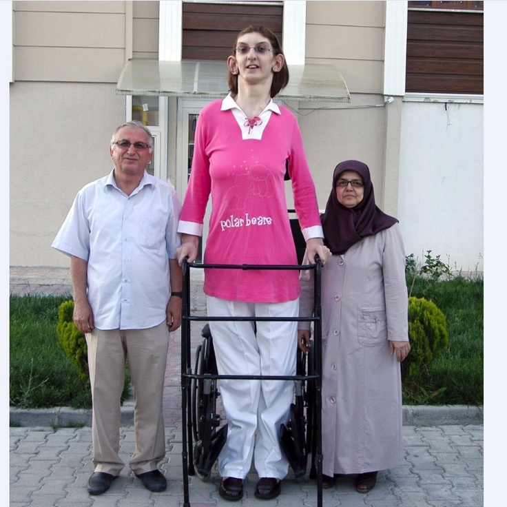 Pornografik kiyimda jinsiy aloqani tomosha qiling