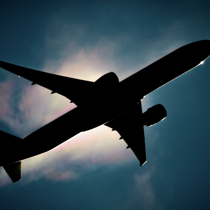 Voyaga etgan ayolning külotlari