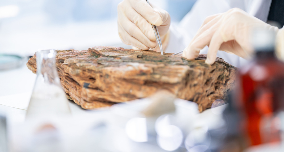 Ерда ҳаёт 3,3 миллиард йил олдин пайдо бўлган — тадқиқот