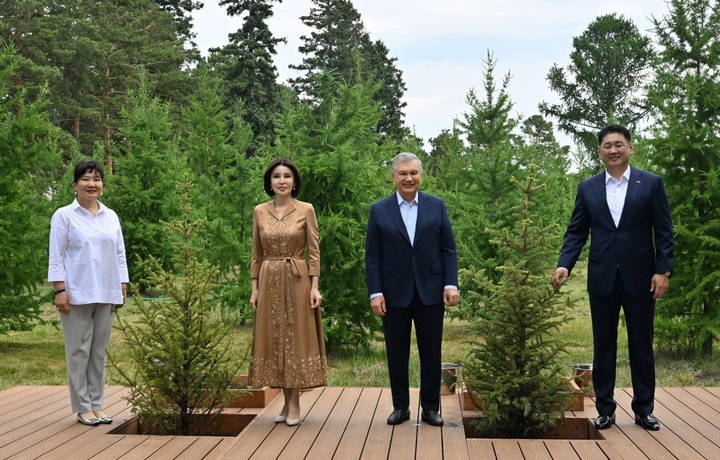 Шавкат Мирзиёев Мўғулистонда дарахт экди (фото)