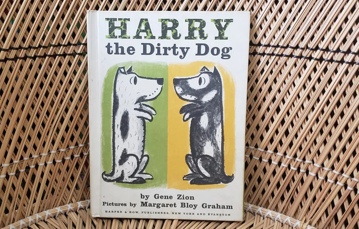  Китоб 36 йиллик саёҳатдан сўнг кутубхонага қайтарилди