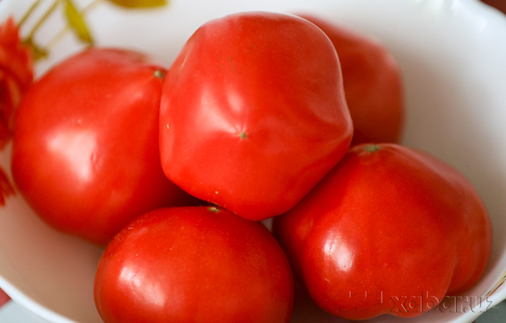 O‘zbekiston 11 oyda qancha pomidor eksport qilgani ma’lum bo‘ldi