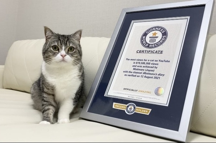 Batafsil jinsiy aloqa bilan filmlar Alyson Hannigan foto erotika