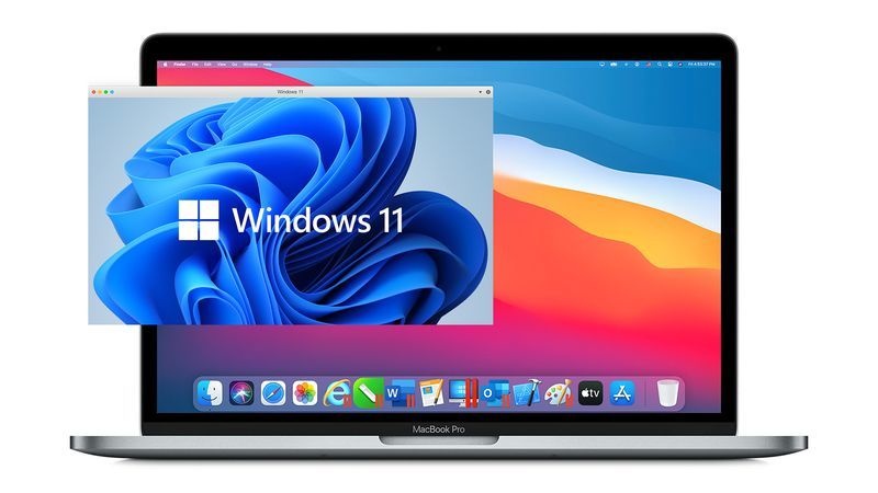 Как из результатов поиска Windows 11 скрыть определенные типы файлов