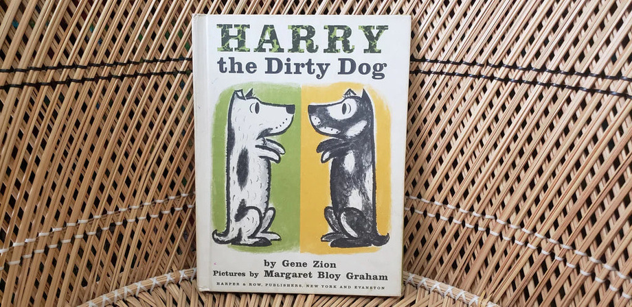  Китоб 36 йиллик саёҳатдан сўнг кутубхонага қайтарилди