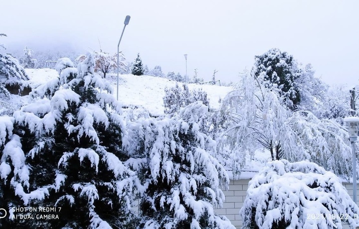 O‘zbekistonning tog‘li hududlarida qor yog‘di (foto)