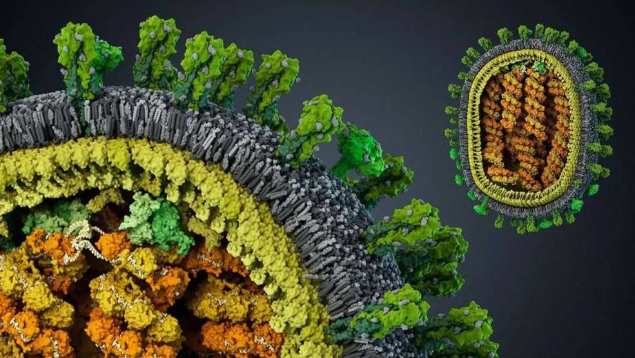 Insoniyatga o‘lim keltiruvchi yangi epidemiya xavf solmoqda — bu COVID emas!