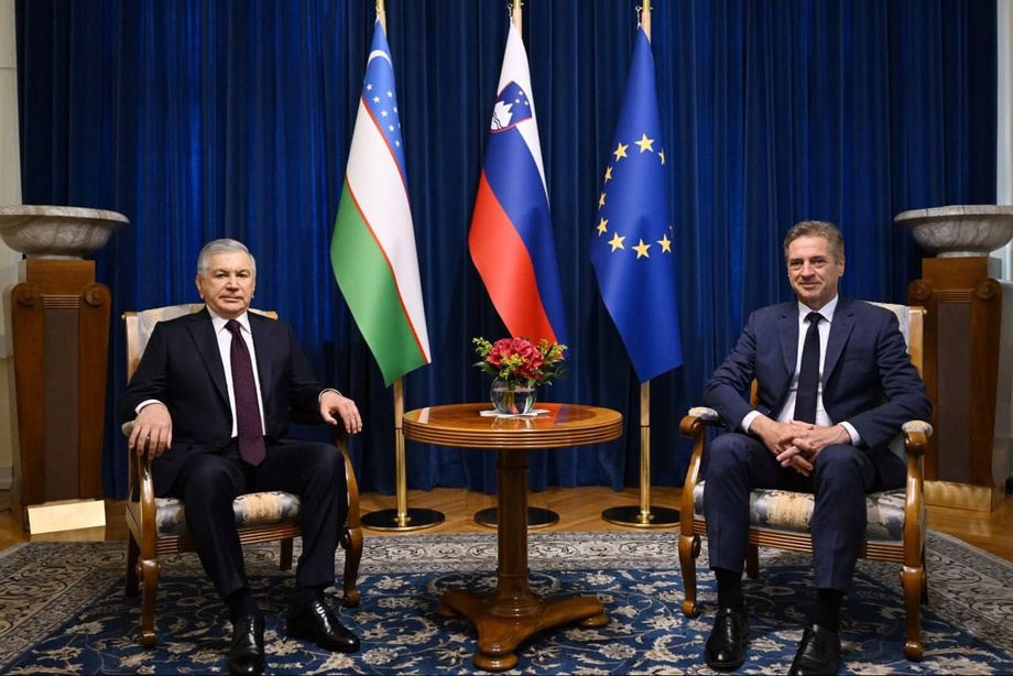 Prezident Sloveniya bosh vaziri bilan uchrashdi: tafsilotlar