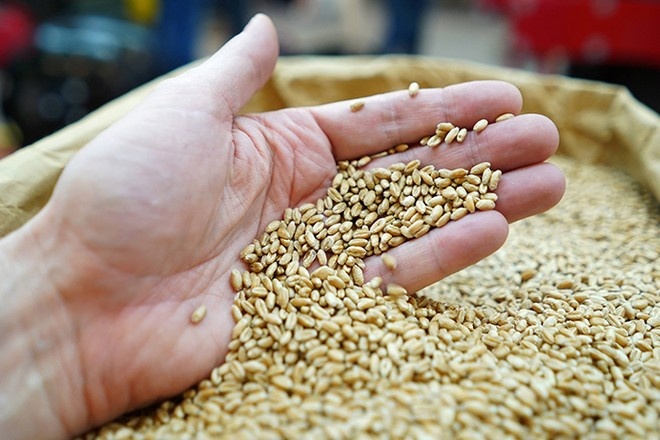 Учёные назвали зерновые продукты, повышающие риск смерти