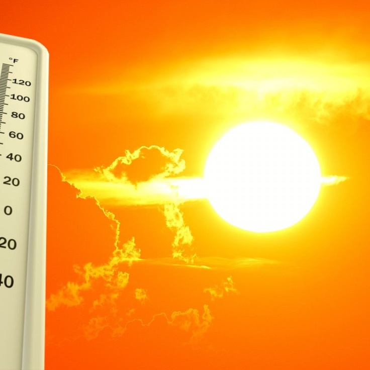 Yalangoch, boshsiz qizlarning rasmlari