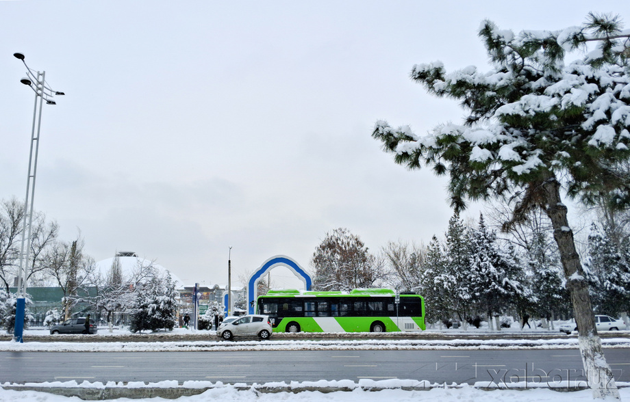 Сегодня температура воздуха в Узбекистане составит 0-5 градусов тепла