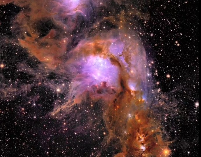 oriq uzun oyoqli mushuklar Rus oriq qizlar seks video