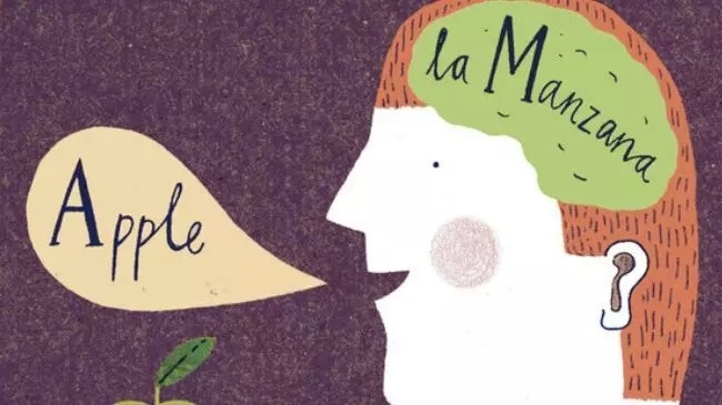 Как работает мозг человека, который говорит на двух языках (фото)