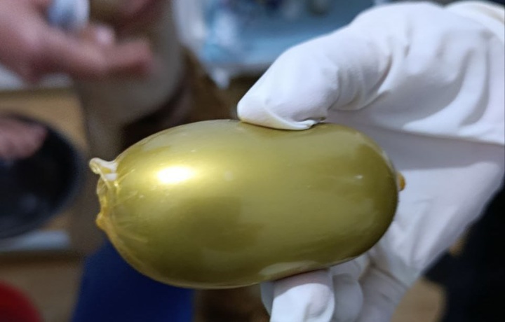 На таможенном посту Самарканда предотвращена попытка ввоза около 800 г опия в «живом контейнере»