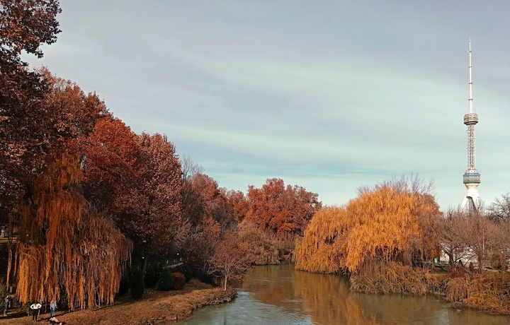 23-noyabr kuni kunduzi kutilayotgan ob-havo ma’lumoti