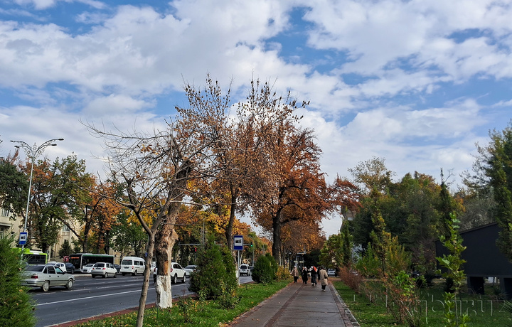 Сегодня ожидается понижение температуры до +21 градуса