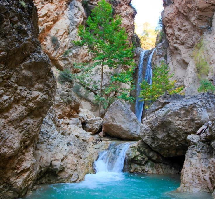 Jinsiy qizlar mahkam boglangan