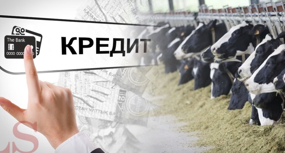 Sirdaryoda salkam 3 mlrd so‘mlik kredit pullari talon-toroj qilindi