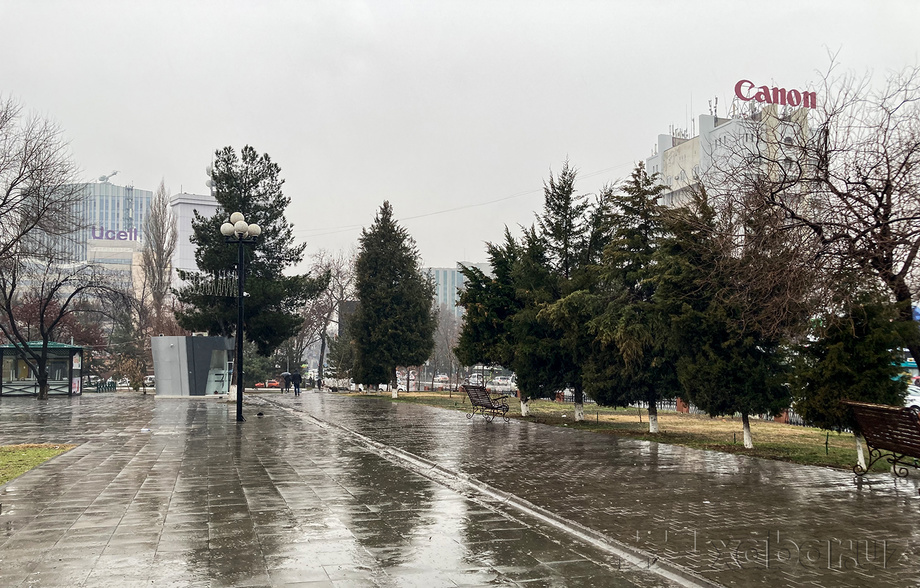 Бугун Ўзбекистонда ҳаво ҳарорати 12-17 даражага чиқади