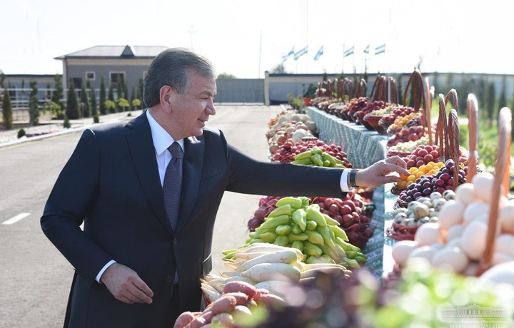 Shavkat Mirziyoyev: «Tomorqadan samarali foydalangan odam boqimanda bo‘lmaydi»