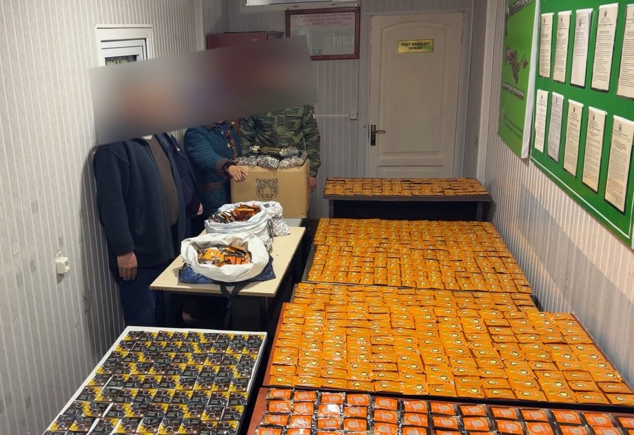 200 долларлик «хизмат»нинг аччиқ баҳоси: Сирдарёда хавфли қаҳвалар тўхтатилди