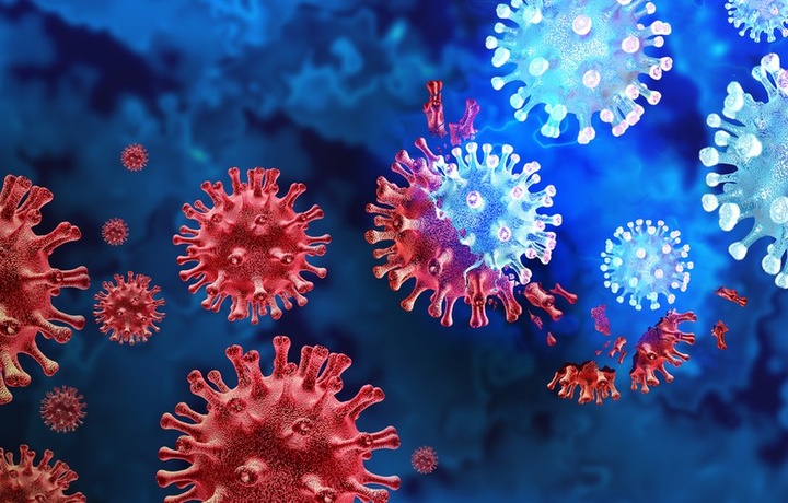 Koronavirus yana qaytmoqda…mi?