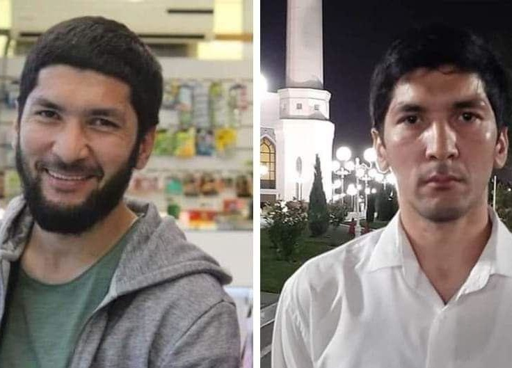 Katta mushuk bilan eng katta yoglilar Dengizda dam olish jinsiy aloqa