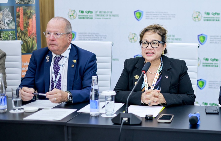 Samarqandda CITES CoP20 haftalik hisoboti taqdim etildi